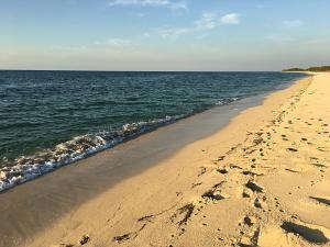 phoca_thumb_m_Cabo_San_Antonio_Playa8 Zdjęcia