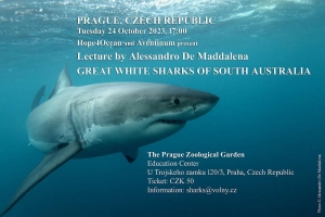 phoca_thumb_m_GW14 Zdjęcia
