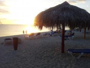 phoca_thumb_m_20121124_231721 Zdjęcia