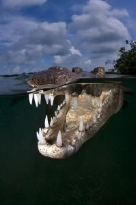 phoca_thumb_m_gCS7_9318 Zdjęcia