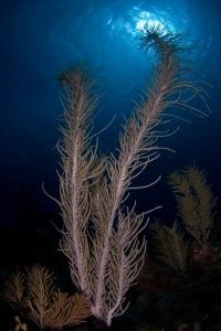 phoca_thumb_m_gCSA_3763 Zdjęcia