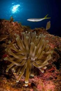 phoca_thumb_m_gCSA_3774 Zdjęcia