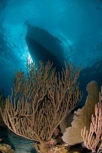 phoca_thumb_m_gCSA_4236 Zdjęcia