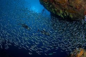 phoca_thumb_m_gCSA_4270 Zdjęcia