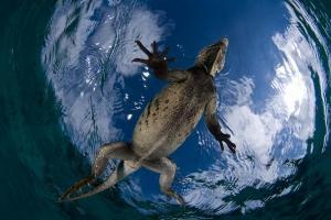 phoca_thumb_m_gCSA_5067 Zdjęcia