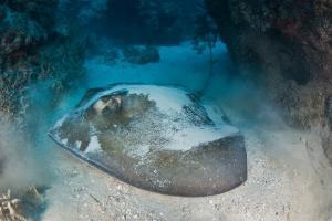 phoca_thumb_m_gCSA_6074 Zdjęcia