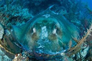 phoca_thumb_m_gCSA_6083 Zdjęcia