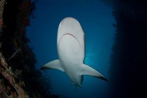 phoca_thumb_m_gCSA_6183 Zdjęcia