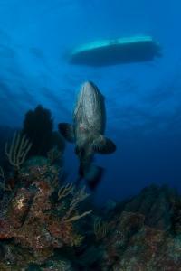 phoca_thumb_m_gCSA_6236 Zdjęcia