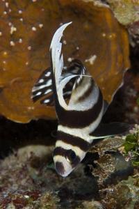 phoca_thumb_m_gCSA_6380 Zdjęcia