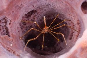 phoca_thumb_m_gCSA_6881 Zdjęcia