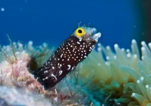 phoca_thumb_m_gCSA_6912 Zdjęcia