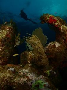 phoca_thumb_m_15_Ambiente_con_Modelo Zdjęcia
