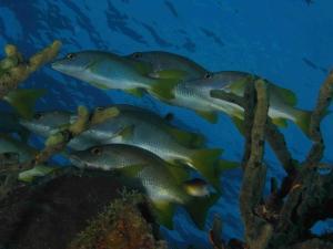 phoca_thumb_m_IMG_0531 Zdjęcia