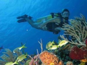 phoca_thumb_m_IMG_0705 Zdjęcia