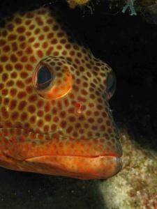 phoca_thumb_m_IMG_0740 Zdjęcia