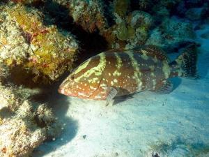 phoca_thumb_m_IMG_3569 Zdjęcia