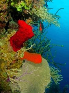 phoca_thumb_m_IMG_3595 Zdjęcia