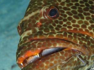 phoca_thumb_m_IMG_7516 Zdjęcia