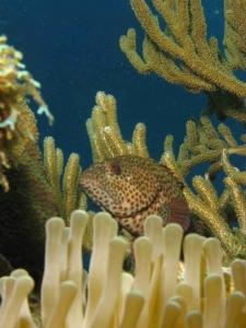 phoca_thumb_m_IMG_7550 Zdjęcia
