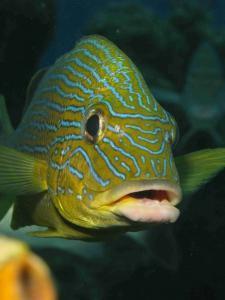 phoca_thumb_m_IMG_7573 Zdjęcia