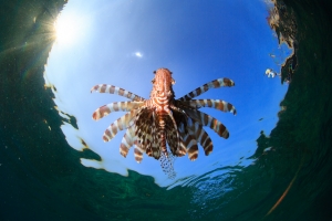 phoca_thumb_m__MGL7216 Zdjęcia
