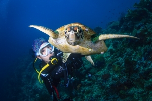 phoca_thumb_m_sipadan8 Zdjęcia