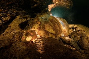 phoca_thumb_m_sipadan9 Zdjęcia