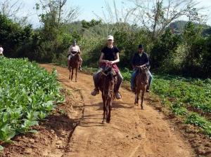 phoca_thumb_m_mvinaleshorseriding3 Zdjęcia