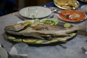 phoca_thumb_m_cuba_81_of_786 Zdjęcia