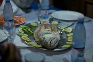 phoca_thumb_m_cuba_83_of_786 Zdjęcia