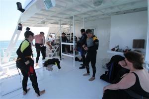 phoca_thumb_m_img_2283 Zdjęcia
