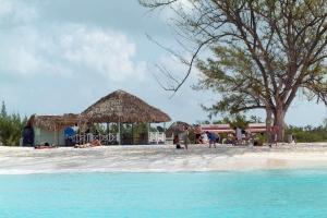 phoca_thumb_m_BAR_PARADISO Zdjęcia