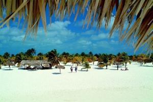 phoca_thumb_m_BAR_SIRENA_1 Zdjęcia