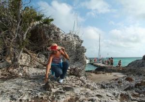phoca_thumb_m_CAYO_IGUANA_1 Zdjęcia