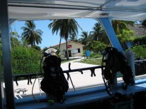 phoca_thumb_m_CAYO_LARGO_037 Zdjęcia