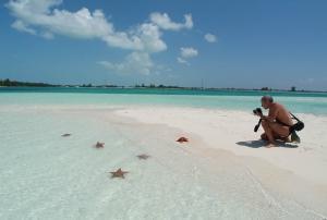 phoca_thumb_m_ESTRELLAS Zdjęcia