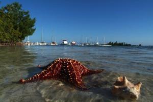 phoca_thumb_m_MARINA Zdjęcia