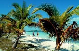 phoca_thumb_m_PASEO_PLAYA_3 Zdjęcia
