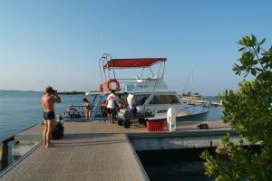 phoca_thumb_m_SALIDA_DE_BUCEO Zdjęcia