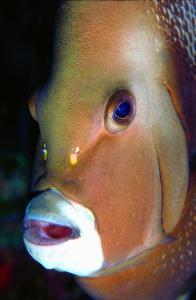 phoca_thumb_m_image021 Zdjęcia