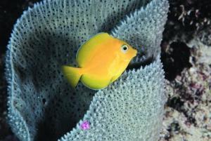 phoca_thumb_m_image022 Zdjęcia