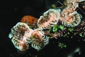 phoca_thumb_m_image023 Zdjęcia