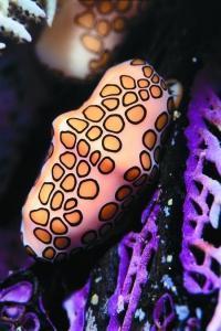 phoca_thumb_m_image027 Zdjęcia