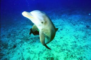 phoca_thumb_m_image029 Zdjęcia