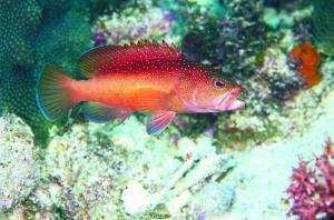 phoca_thumb_m_image030 Zdjęcia