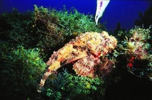 phoca_thumb_m_image031 Zdjęcia