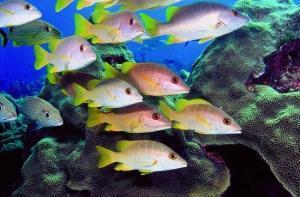 phoca_thumb_m_image032 Zdjęcia