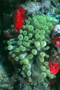 phoca_thumb_m_image033 Zdjęcia