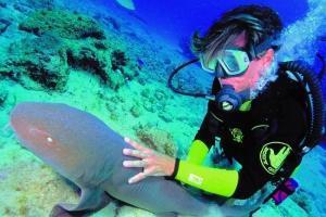 phoca_thumb_m_image034 Zdjęcia